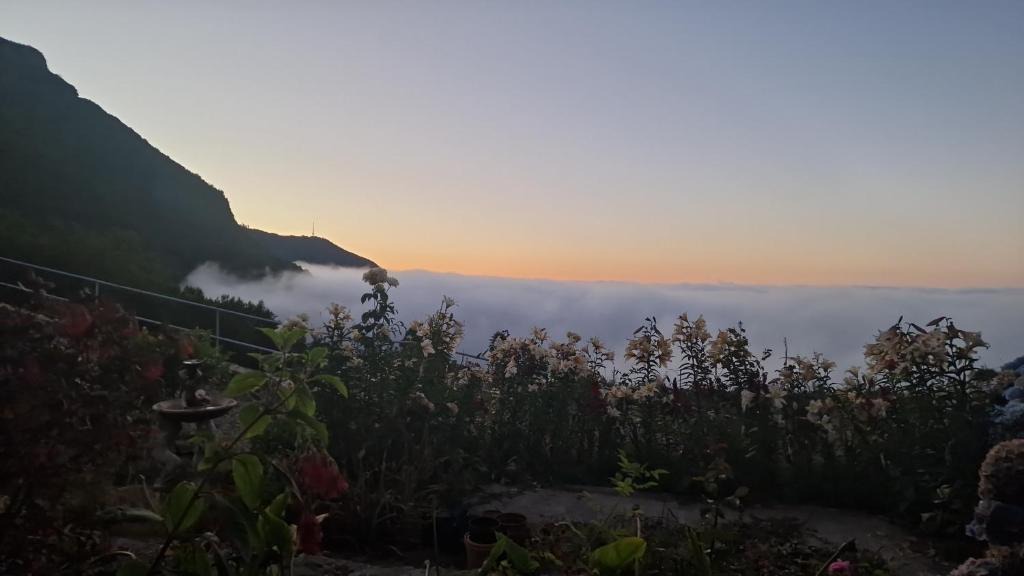 Los Realejos Apartment | Apartament on the edge of the Teide National Park