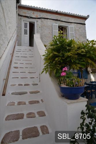 idhra House | Areti