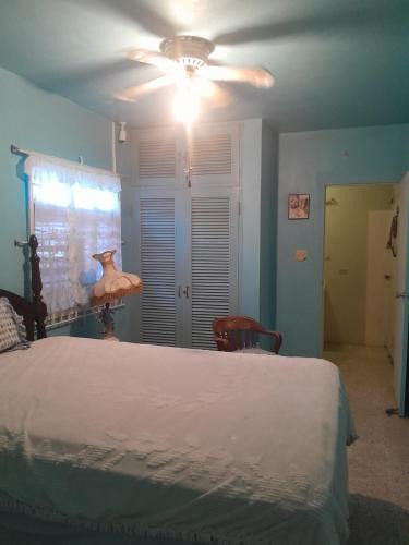 Falmouth House | Aunt Lils Cottages