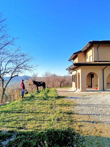 Satriano di Lucania Bed & Breakfast | B&B Bosco Ralle - comfort e natura