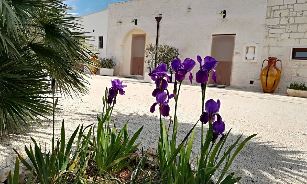 Carovigno Bed & Breakfast | B&B Demetra