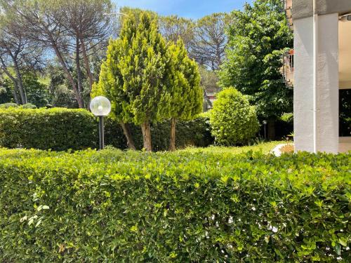 Quartiere XXXI Giuliano Dalmata Bed & Breakfast | B&B "Feelgood"