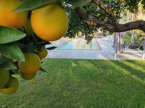 Sarno Bed & Breakfast | B&B Villa Limão