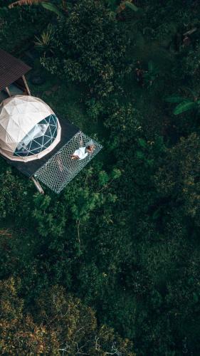 Pupuan Resort | Bali Jungle Camping by Amerta Experience