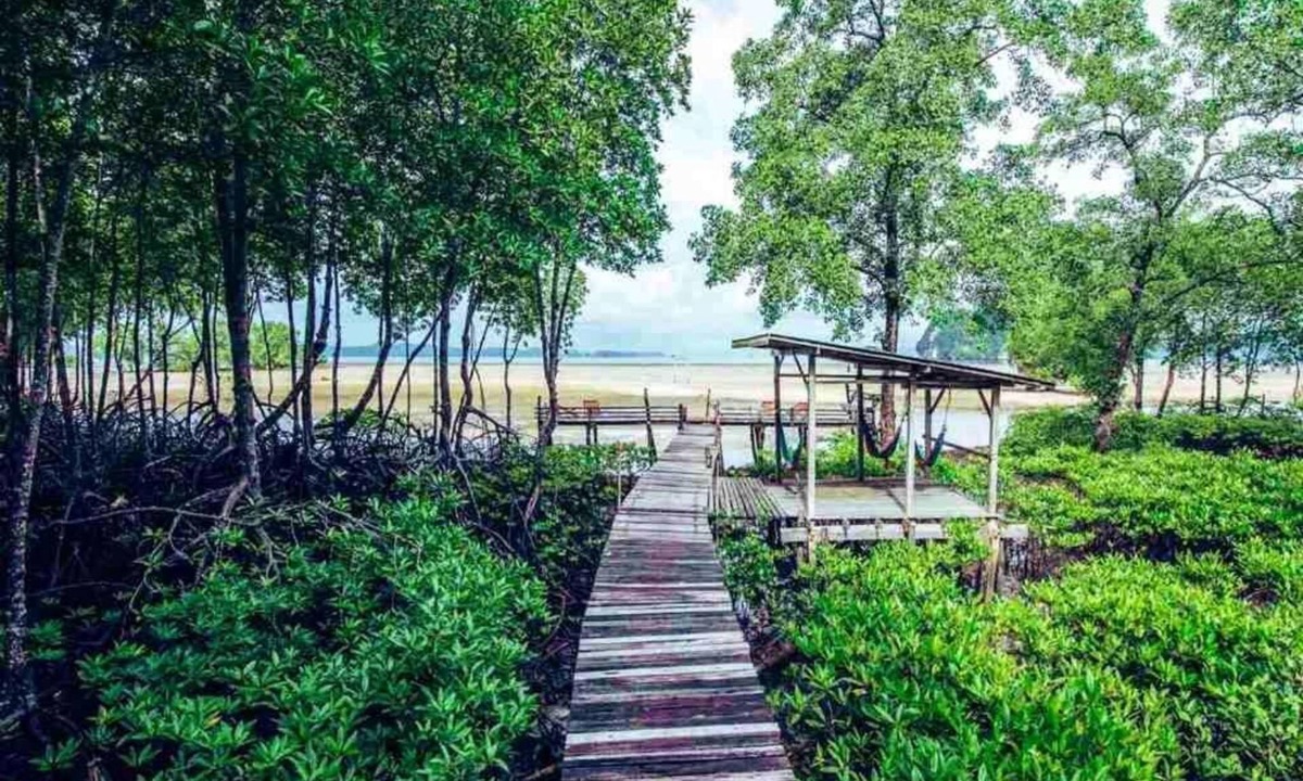 Ban Thalane Hotel | Bananas Bungalows