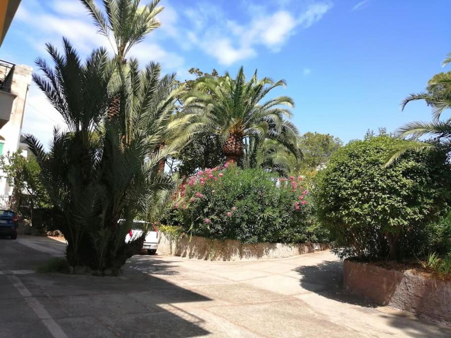 Ischia Porto House | casa Caterina
