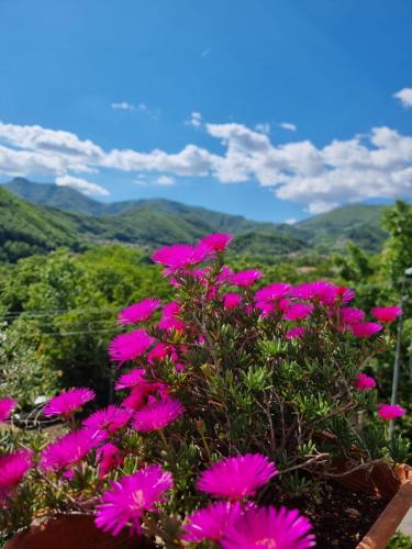 Campinola House | CASA VACANZE - Anna Holiday Home
