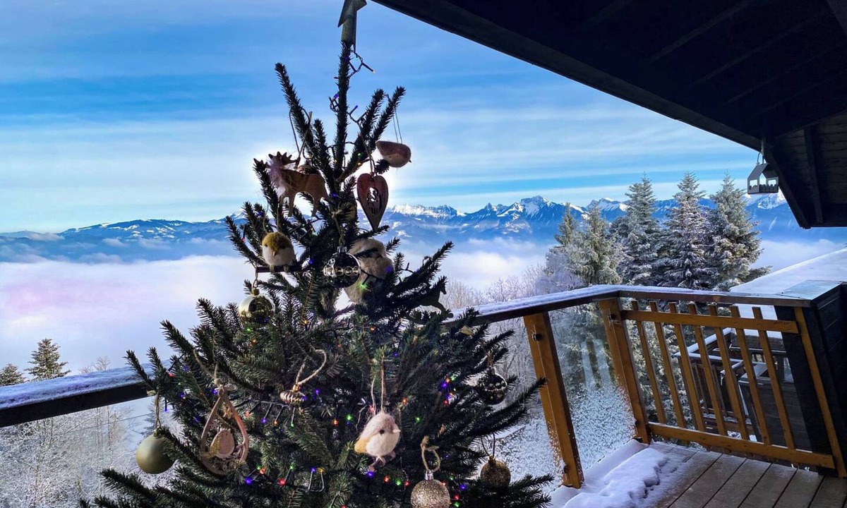 Thollon-les-Memises Ski Chalet | Chalet 'Insolite, Vue Exceptionnelle' with Lake View, Shared Pool and Wi-Fi