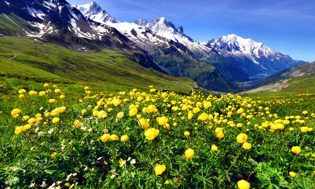 Domancy Ski Chalet | Chalet Mont Blanc view in the center of activities