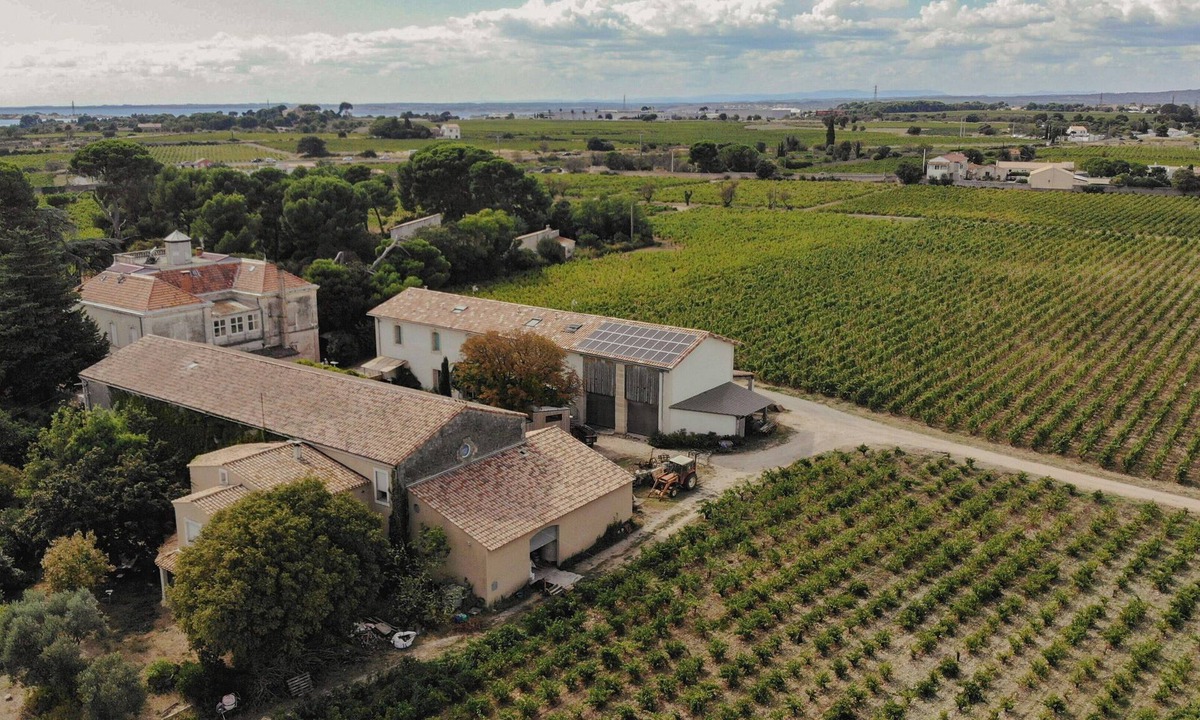 La Peyrade Apartment | Charming house in an organic wine estate