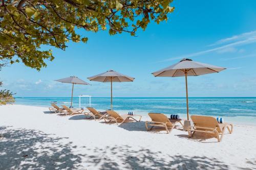 Himmafushi Hotel | Cocomo Maldives