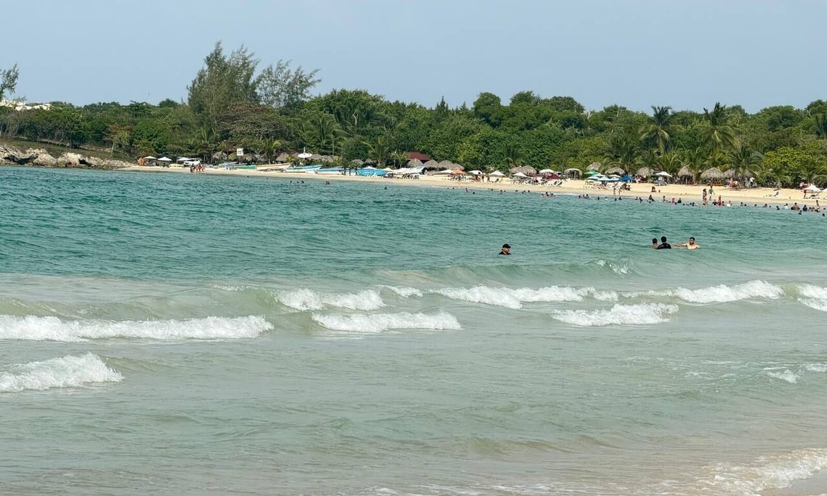 Playa Bibijagua Apartment | Coconut Beach