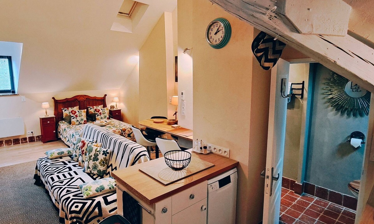 Sancoins Apartment | Cosy Studio Loft Air-conditioned