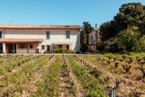 La Peyrade House | Eco-Friendly Cottage In Frontignan Wine Estate