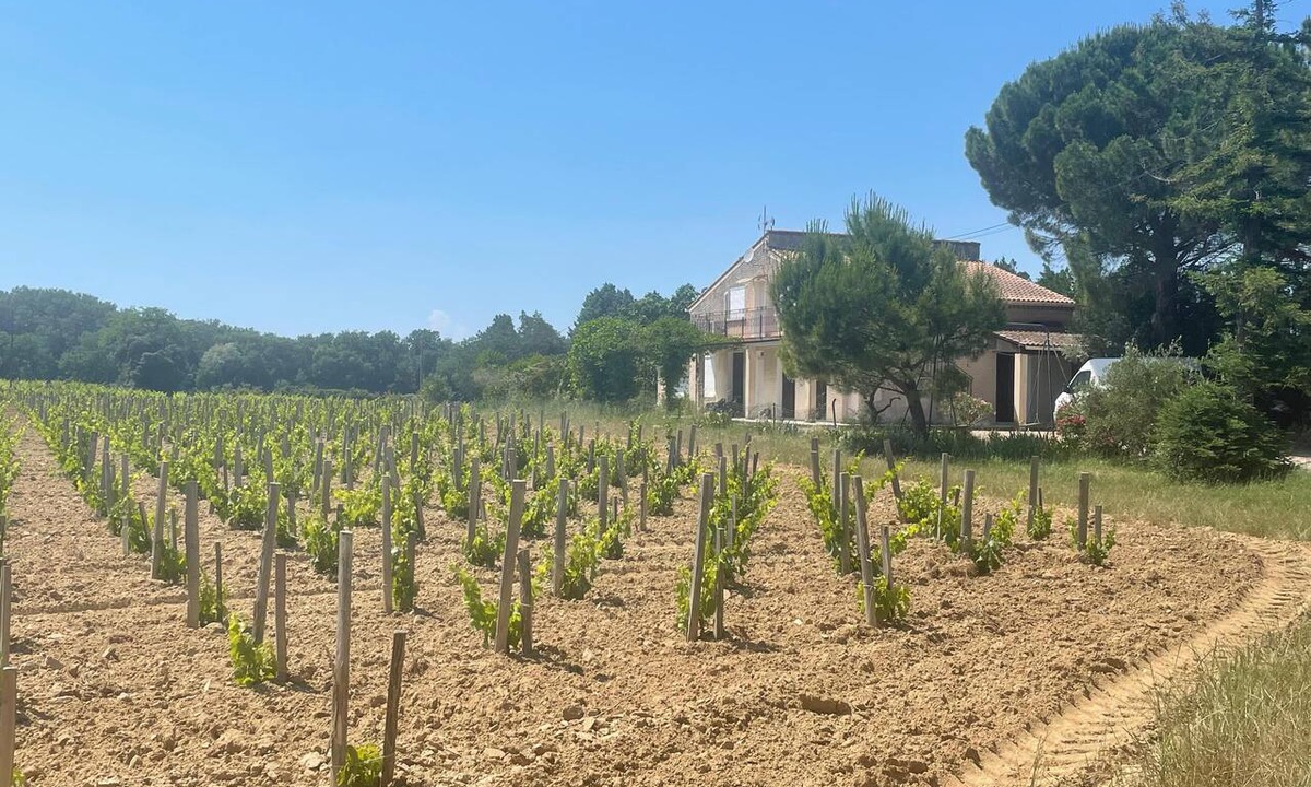 Courthezon House | Entre Deux Vignes - An idyllic setting for families and groups