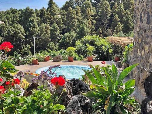 Icod de los Vinos Villa | FINCA LOS TAMARILLOS