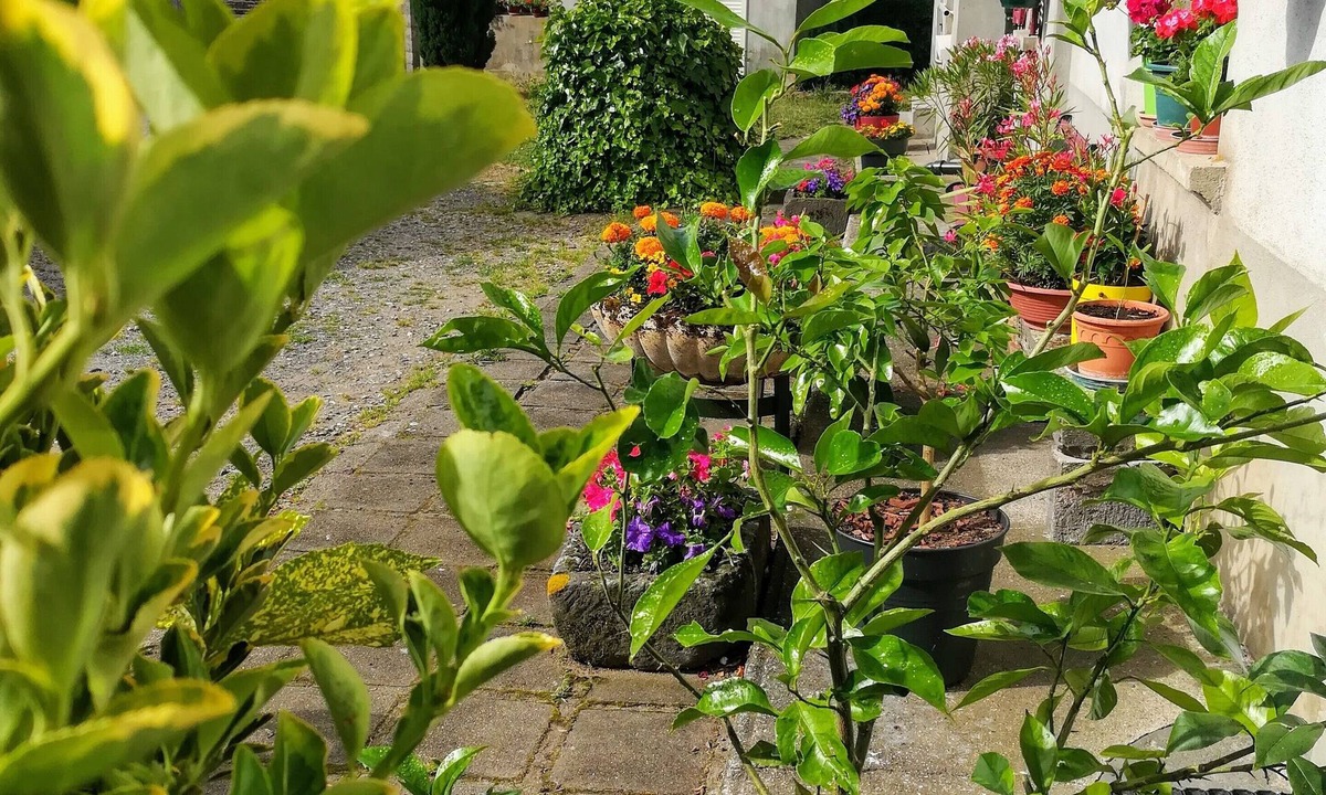 Saint-Georges-de-Mons House | La Maison D'odette 3-star Furnished Accommodation Auvergne/Puy de Dôme.
