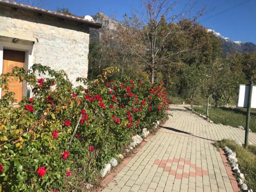 Morano Calabro Bed & Breakfast | Gelsomino