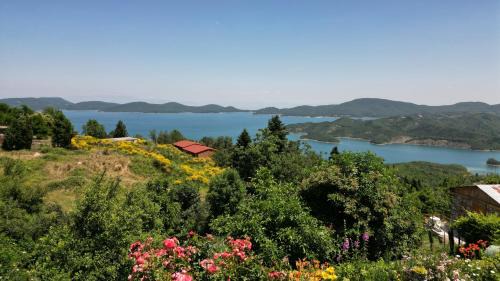 Lake Plastiras House | Guesthouse Mitsiopoulou