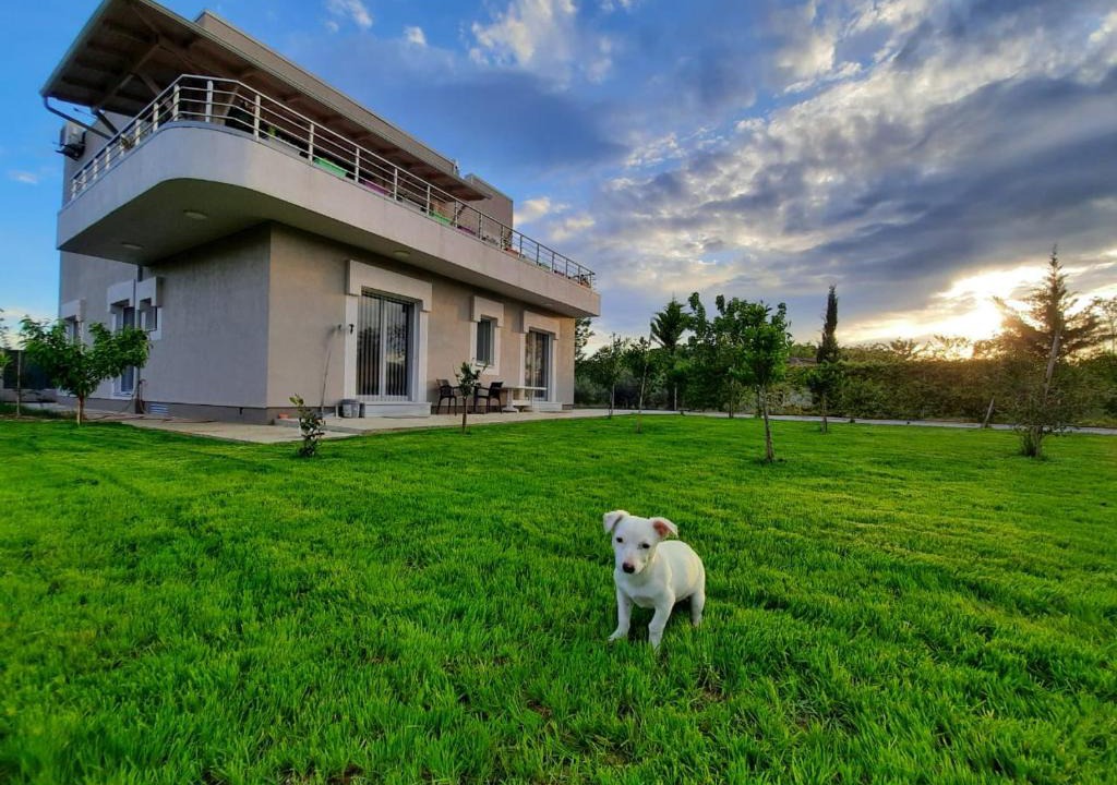Elbasan Bed & Breakfast | HILLTOP HIDEAWAY
