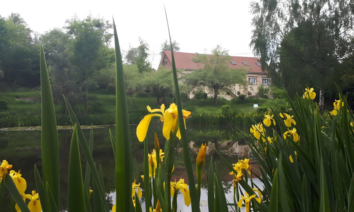 Saint-Jacques-d'Ambur House | Holiday Home “Gîte for 18 People with Pond” with Lake View