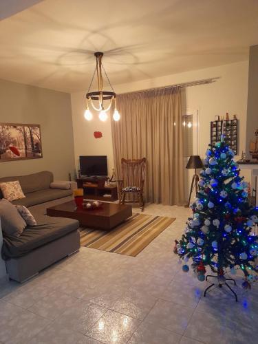 Trikala House | Home of Dreams