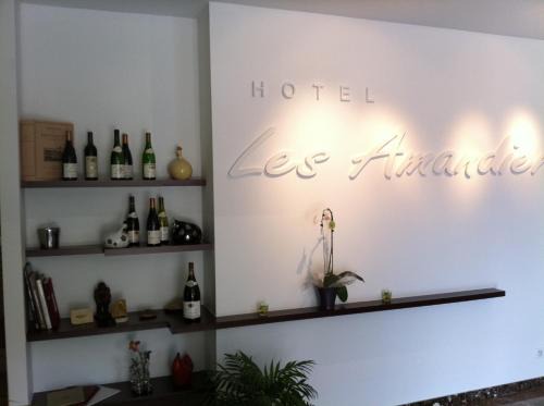 Tournon-sur-Rhone Hotel | Hotel Les Amandiers