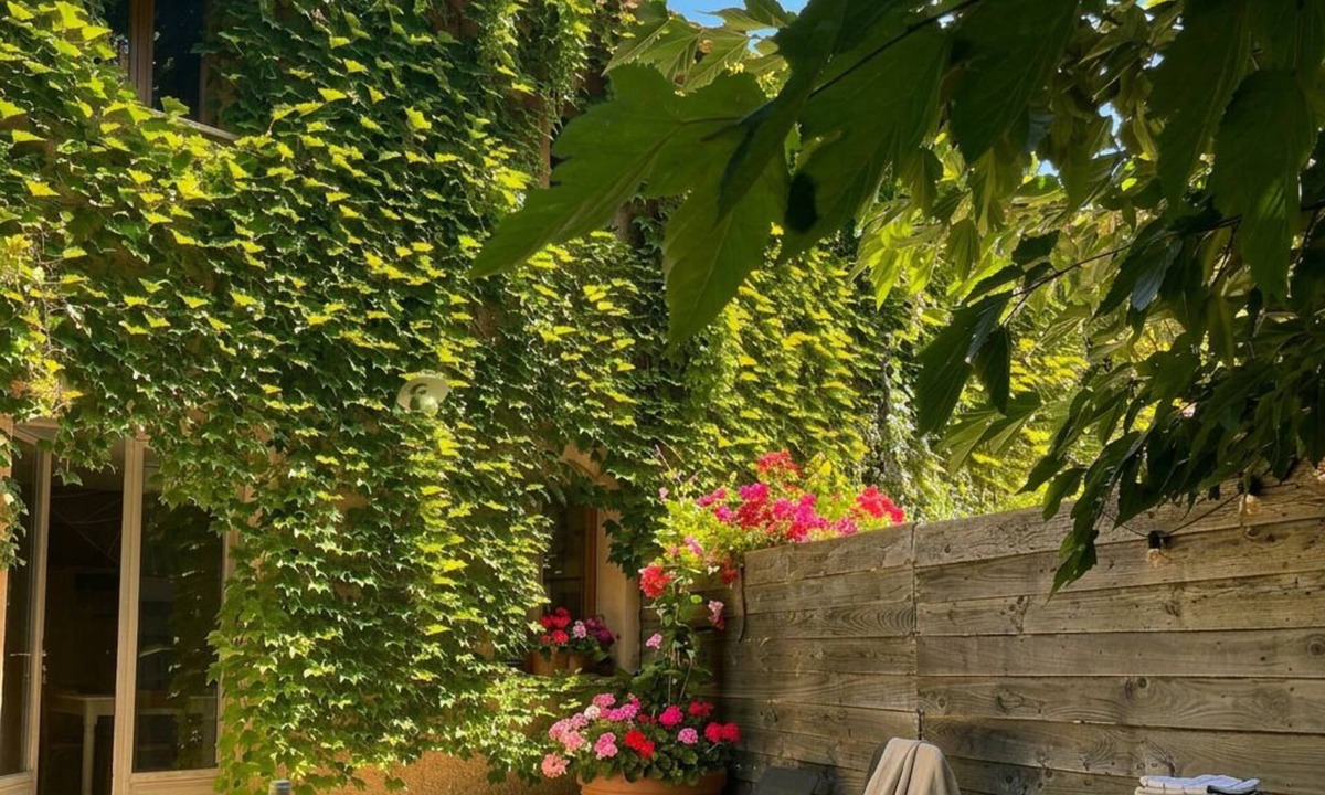 Cadenet Villa | House with private garden & parking in a plant nursery