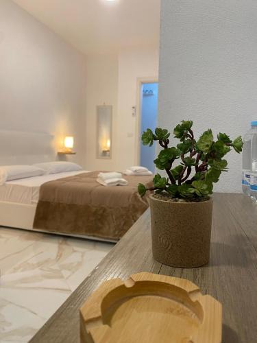 Naples Bed & Breakfast | Il Sogno