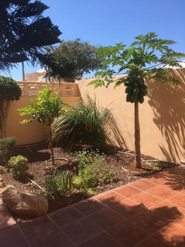 Costa Adeje Apartment | Independiente estudio en acogedora casita de Mai