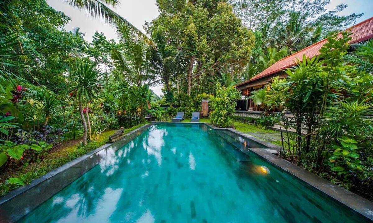 Melayang Villa | Infinity Jungle View Aashaya Villa Ubud