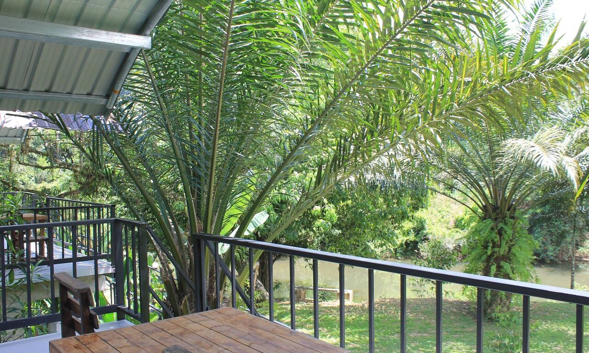 Khlong Sok Hotel | Khaosok River Camp