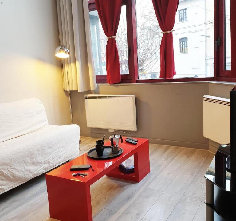 Republique - Tolstoi Apartment | L Esprit Loft, Duplex pour 4 proche Lyon et PartDieu