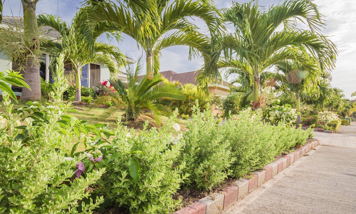 Mammee Bay Villa | La Casa De Playa Ocho Rios