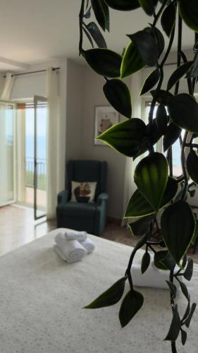Marina di Pisciotta House | La casa del Maestro