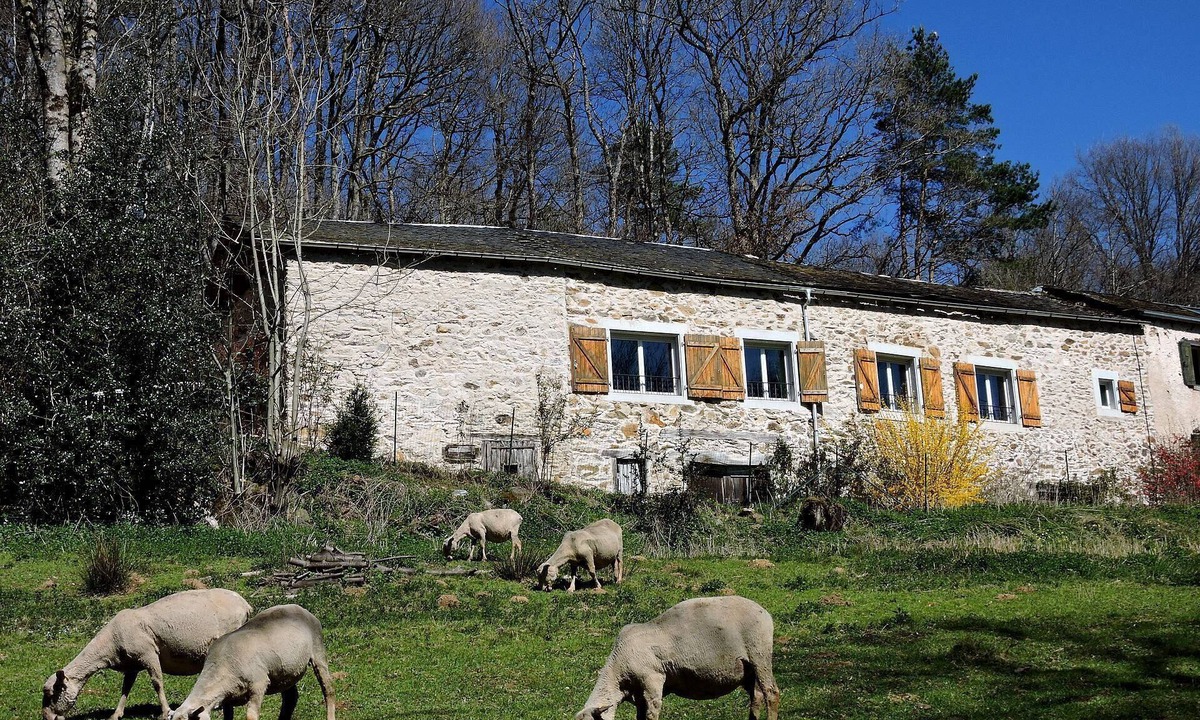 Montredon-Labessonnie Cottage | La Fenial, a spacious stone cottage, accessible to people with disabilities, with air conditioning, nestled in the heart of nature