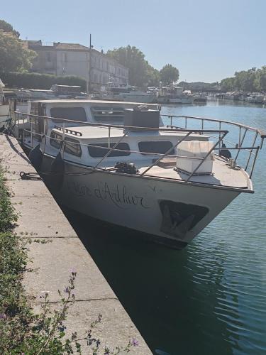 Beaucaire Boat Rental | Le rêve d'Arthur Barge for 4 people in central Beaucaire