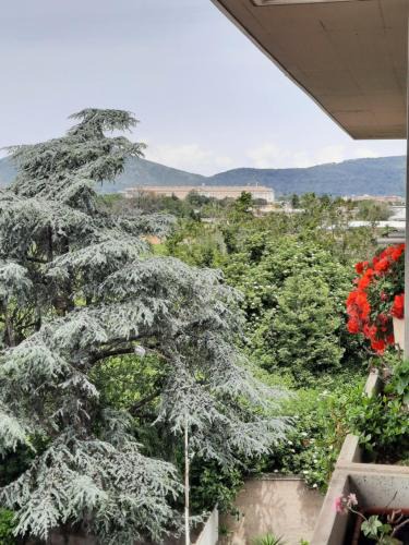San Nicola La Strada Apartment | Luna Reale Relais e Suite APARTMENTS