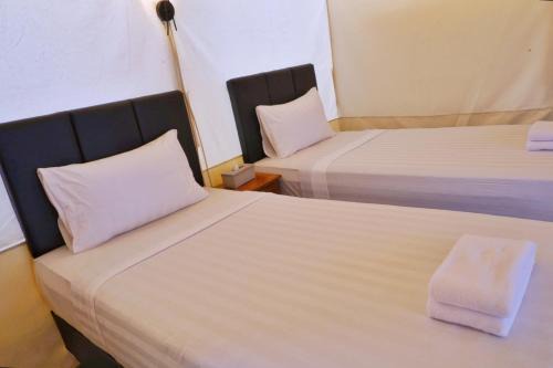 Kedisan Hotel | Mountview Bali
