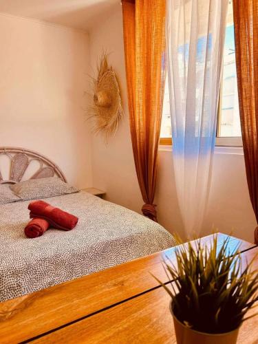 Saint-Tropez Apartment | My home