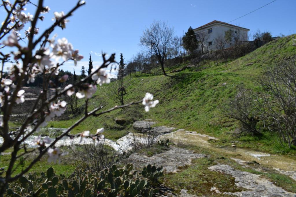 Trikala House | Oasis of CalmnessΕ