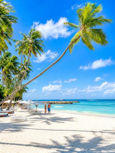 Thulusdhoo Island Hotel | Ocean Blue Maldives
