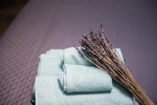 Caiazzo Bed & Breakfast | Palazzo DE MATTEO