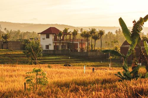 Mendoyo House | Pangkung Surf House