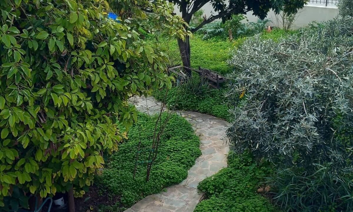 Paiania Apartment | Pavlos Apartment - Leontari Stay with Garden View