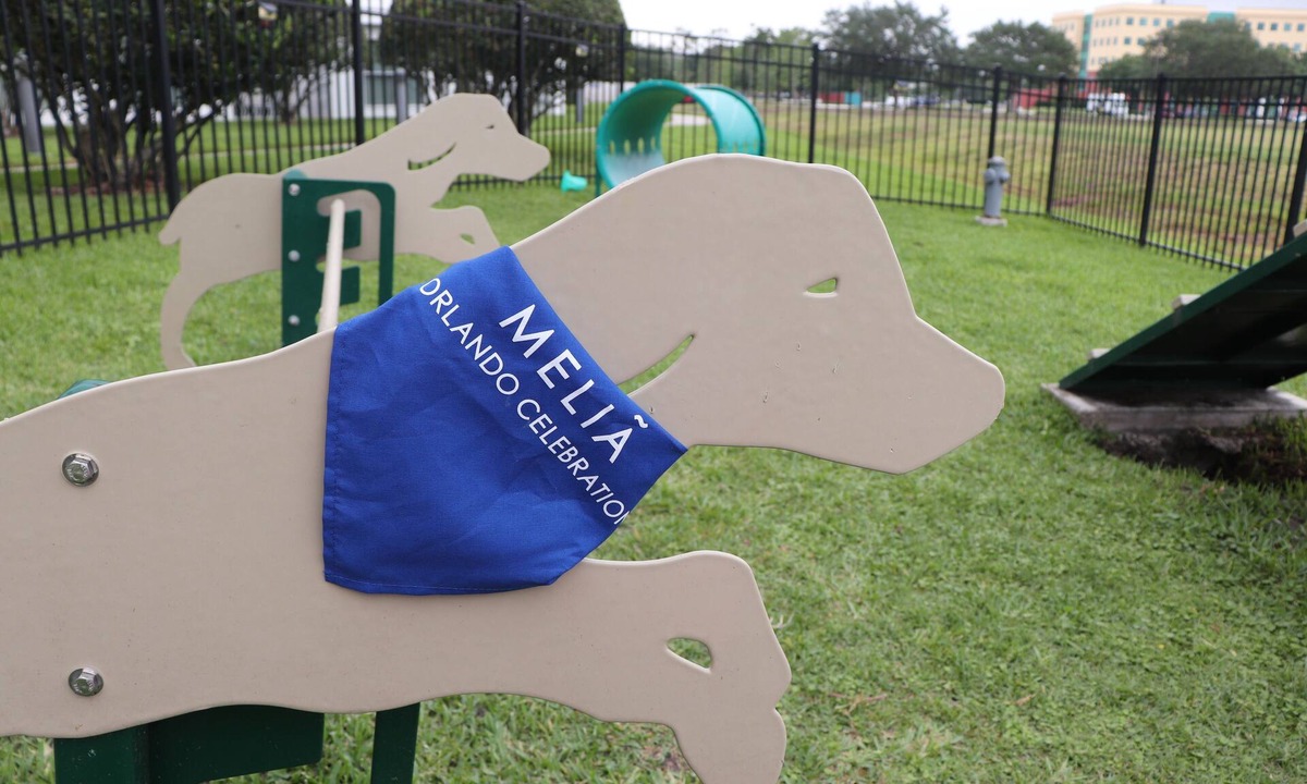 Celebration Apartment | Pet-Friendly 2-Bedroom Pool View Apt. near Disney