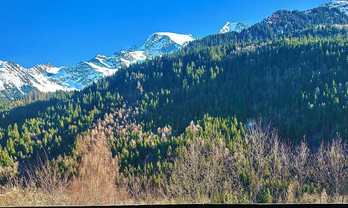 Les Contamines-Montjoie Apartment | Premium Studio - Tour du Mont-Blanc - Swimming pool - View Dôme de Miage