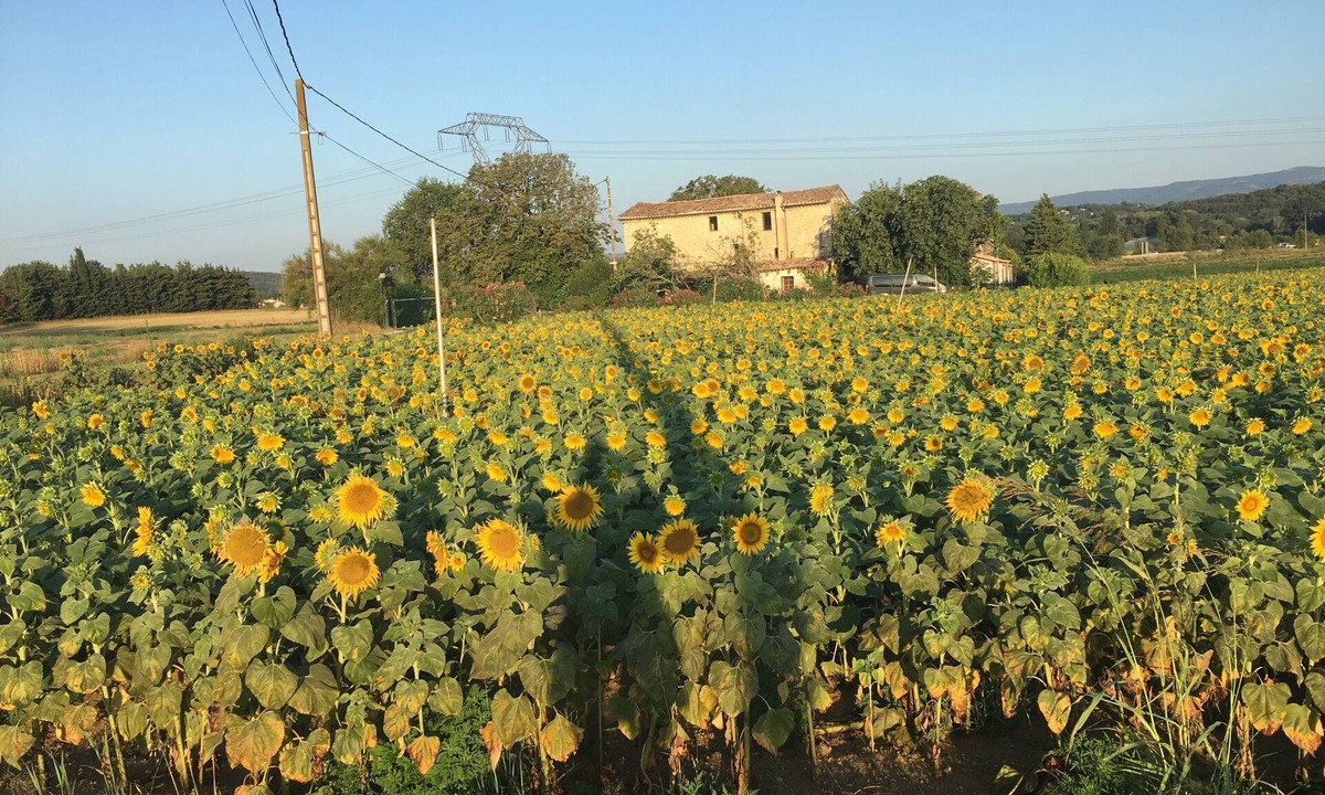 Sauzet Bed & Breakfast | Queen’s Room with Pool and Garden