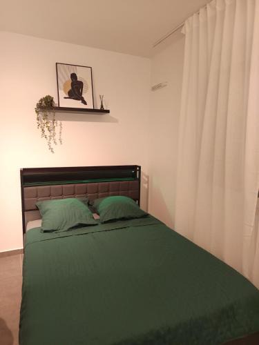 Decines-Charpieu Apartment | Renovated apartment exceptional price LDLC Arena Groupama Stadium