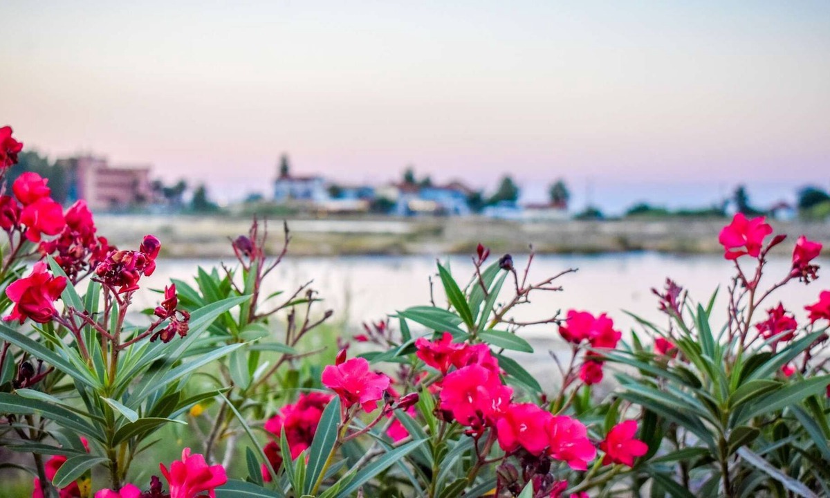 Alykes Apartment | Salt lake apartments right on the lake